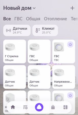 Дом с Алисой (5).jpg