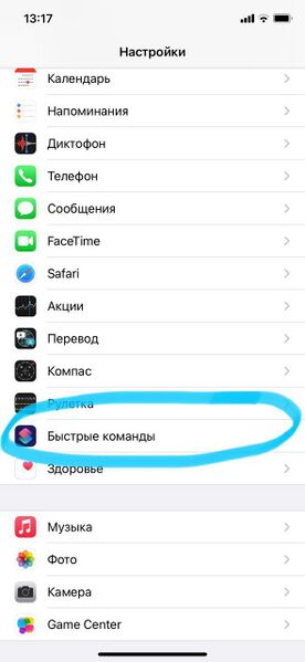 Файл:Поддержка Быстрых команд Apple2.jpg